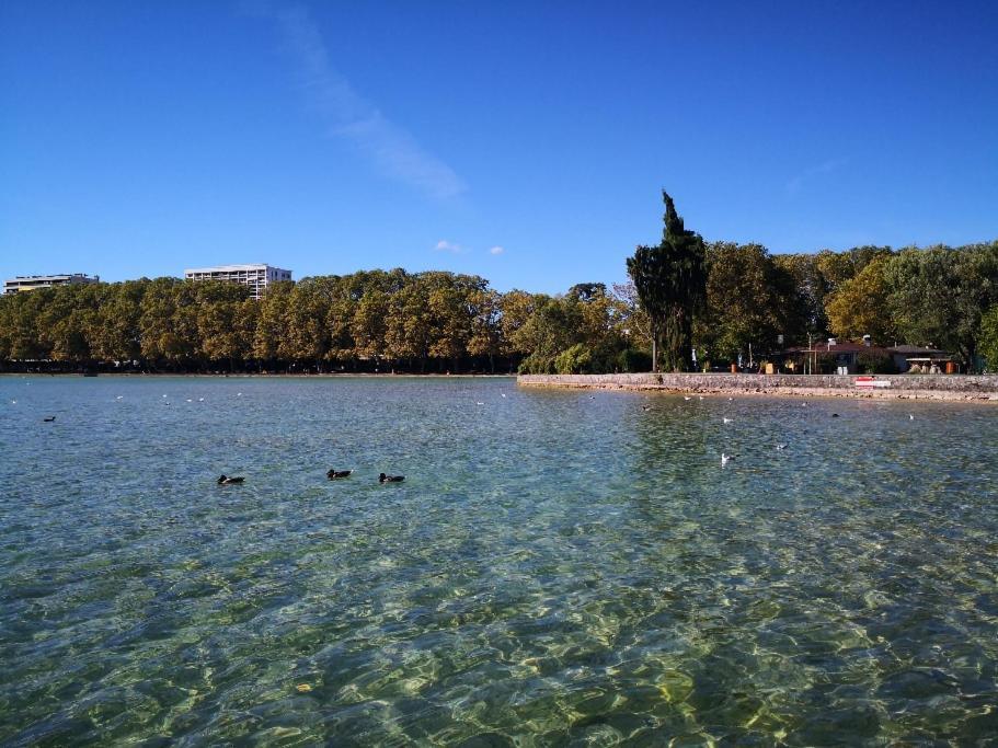 Moderne, Place Parking Prive, Emplacement Ideal A 100 M Du Lac. Apartamento *